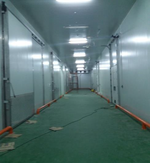 Image - Project - Pelindo IPC - Subzero | Pre Insulated Sandwich Panel